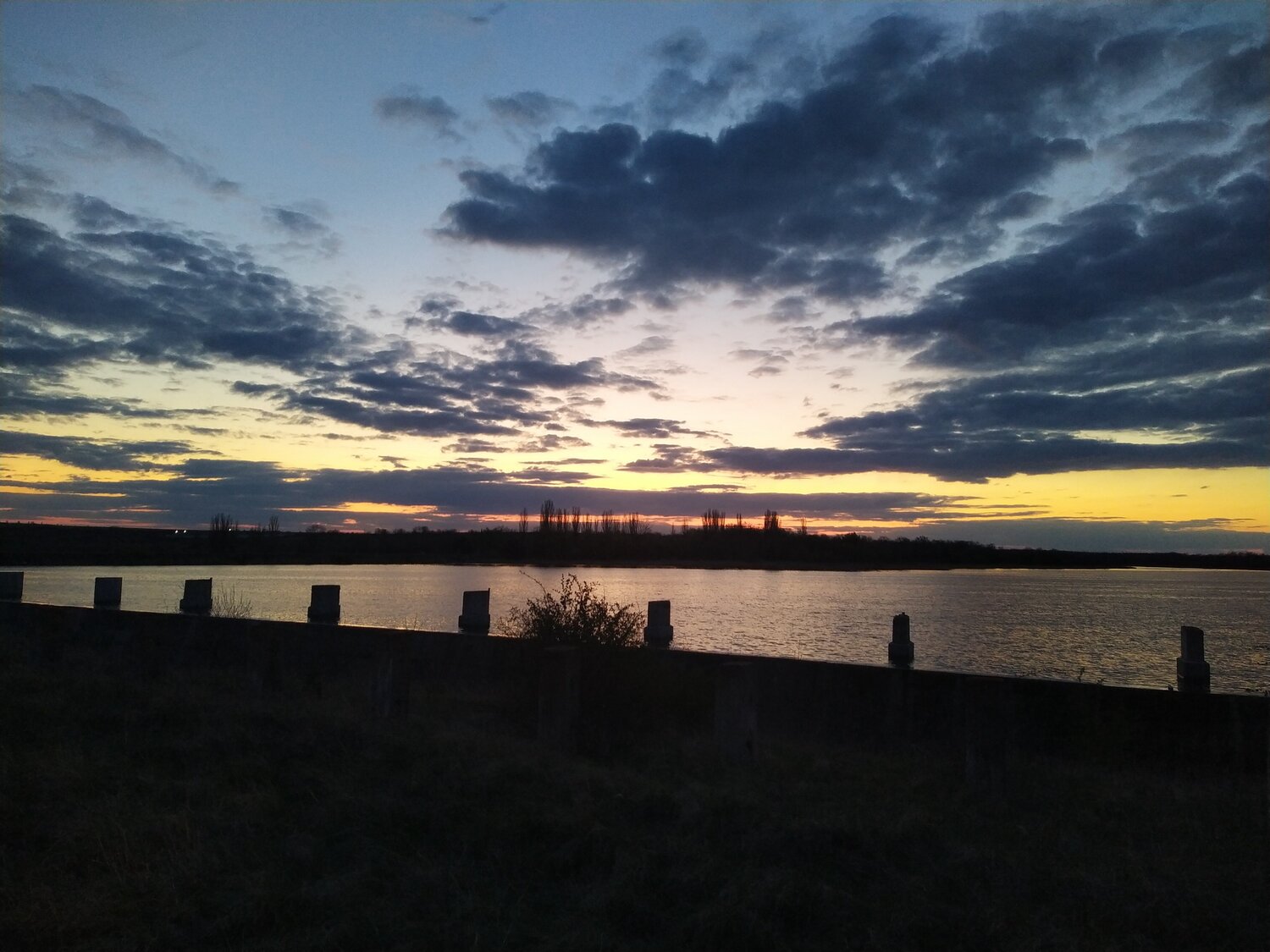 Photo #4551815