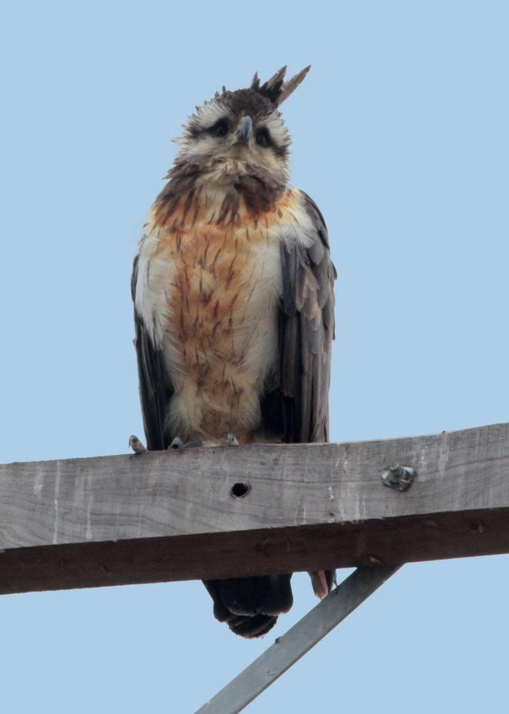 Photograph by Amalia Segovia