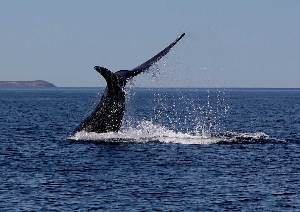 Photograph by Amalia Segovia