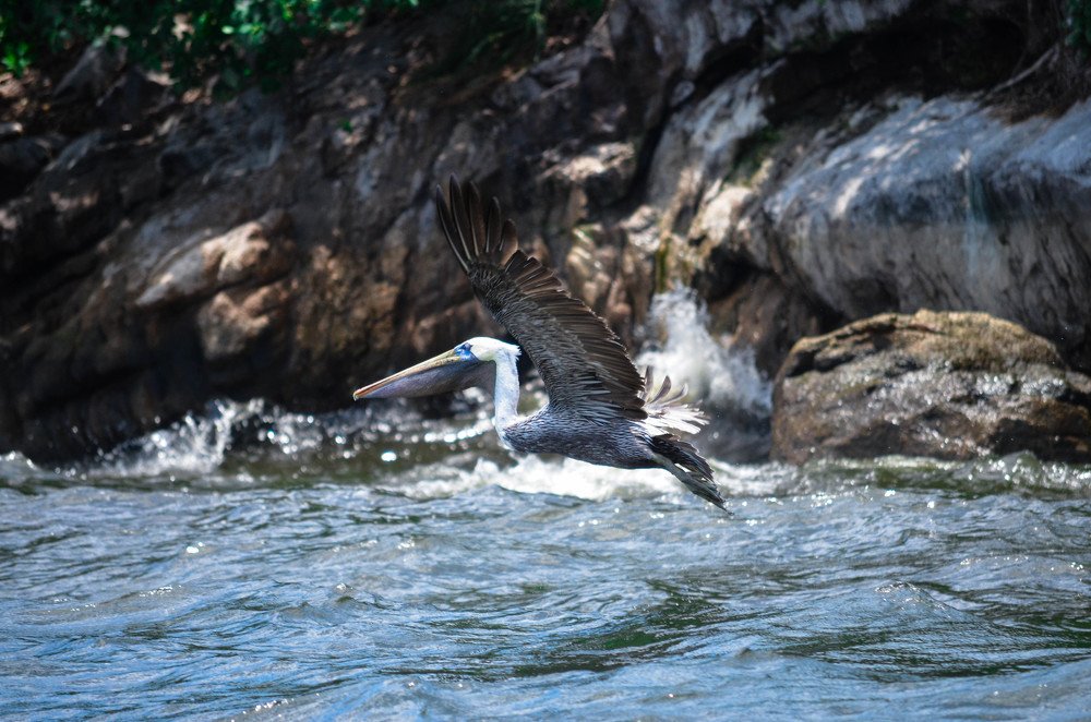 Photograph by edgar ramírez