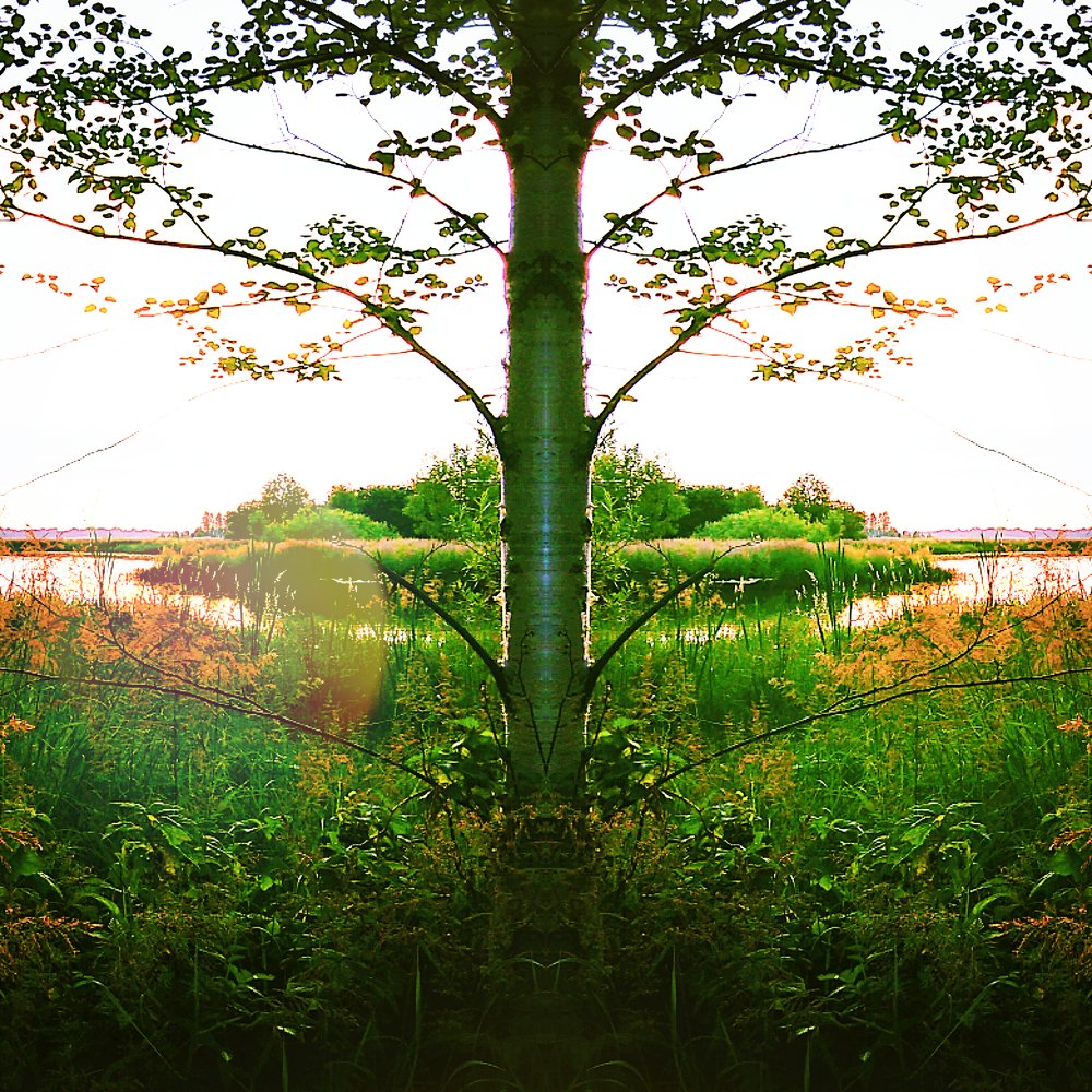 Photograph by Дмитрий