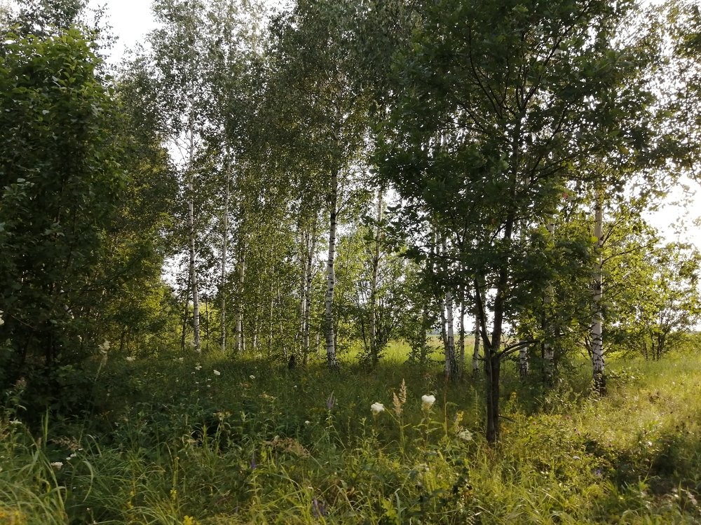 Photograph by Алина