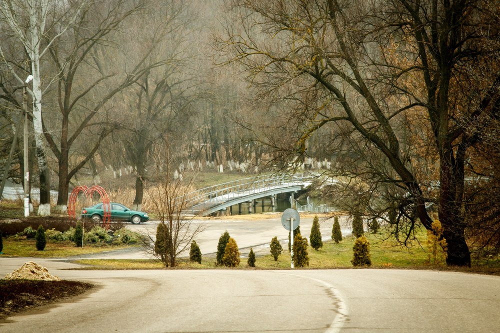 Фотография автора Наталия Рудич
