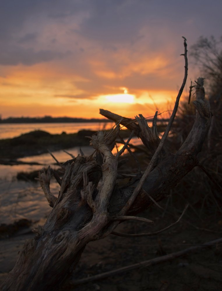 Photograph by Юрий Шмидт