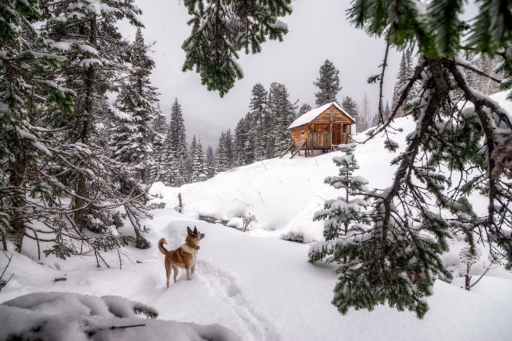 Photograph by Kirill Burtasovsky