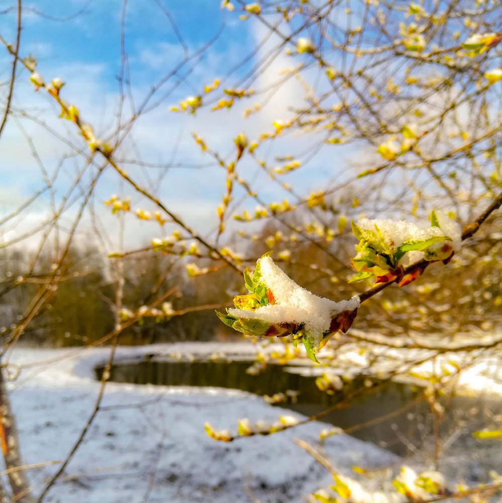 Photograph by Евгений Калагаев