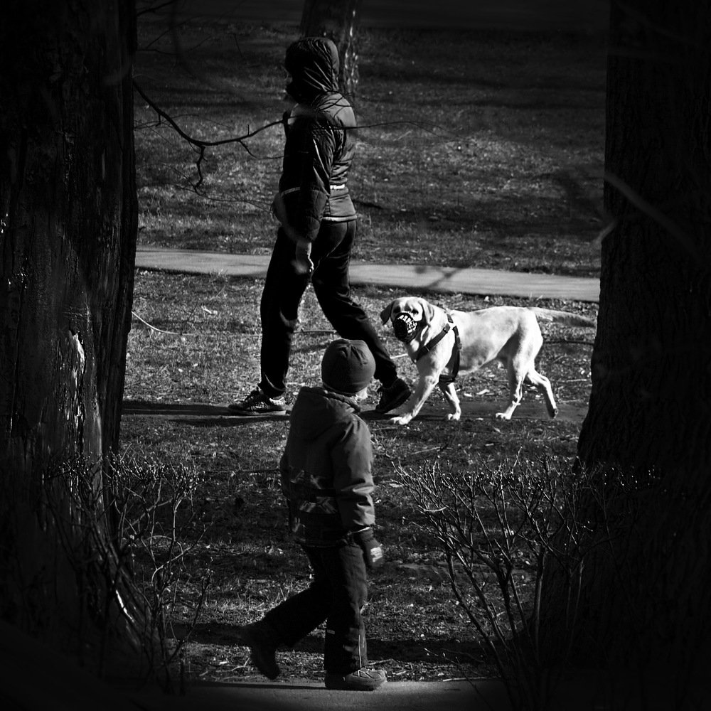 Равенство и братство