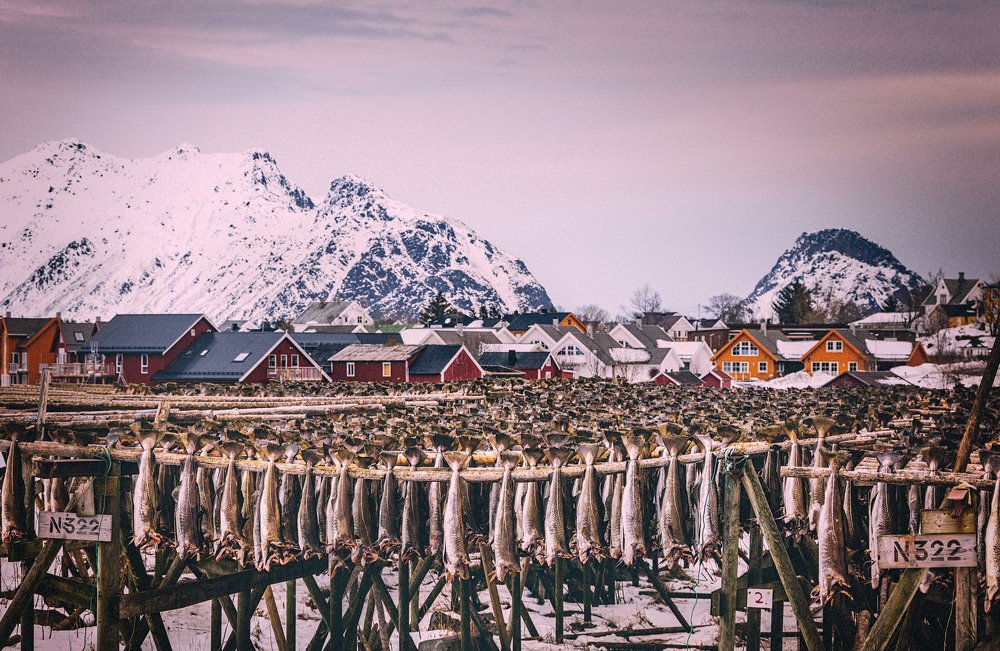 Photograph by igor kostin