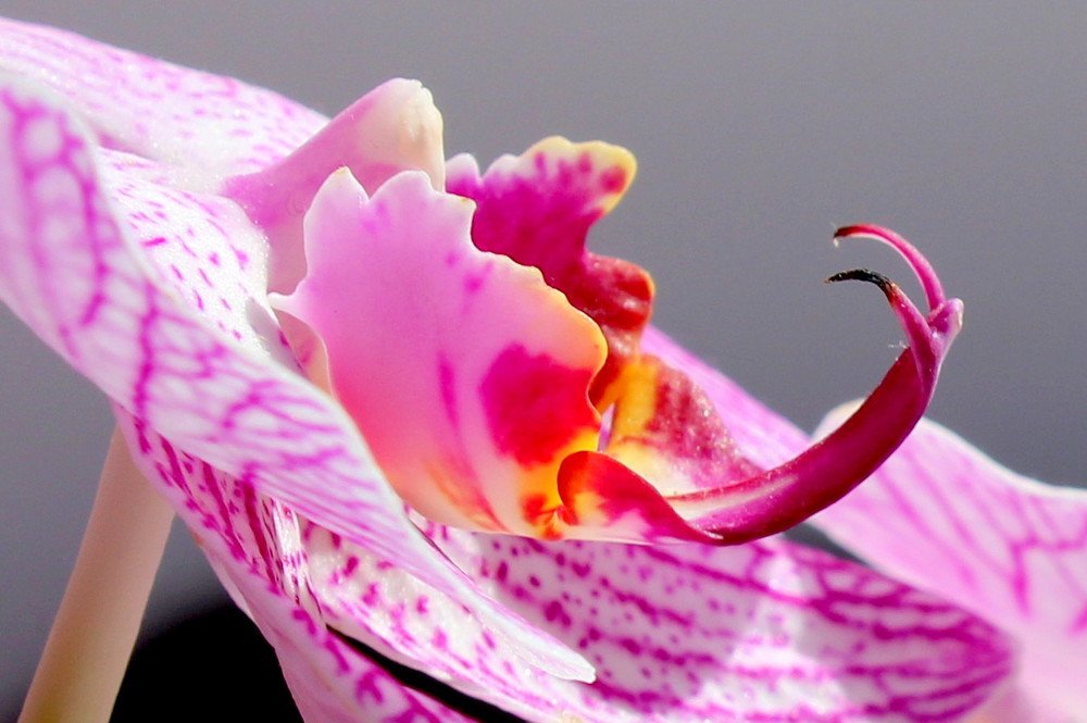 Photograph by Жанна Валиева