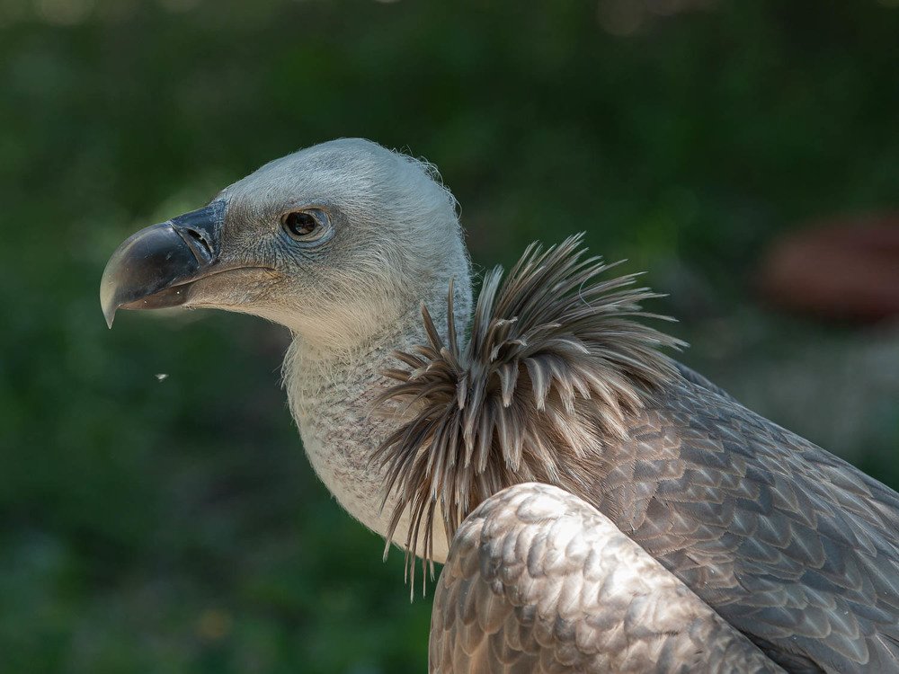 Photograph by Роман Дергунов