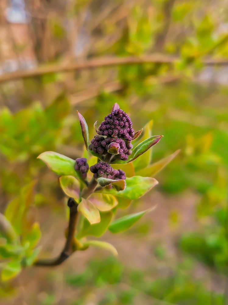 Фотография автора Ян Пчельников