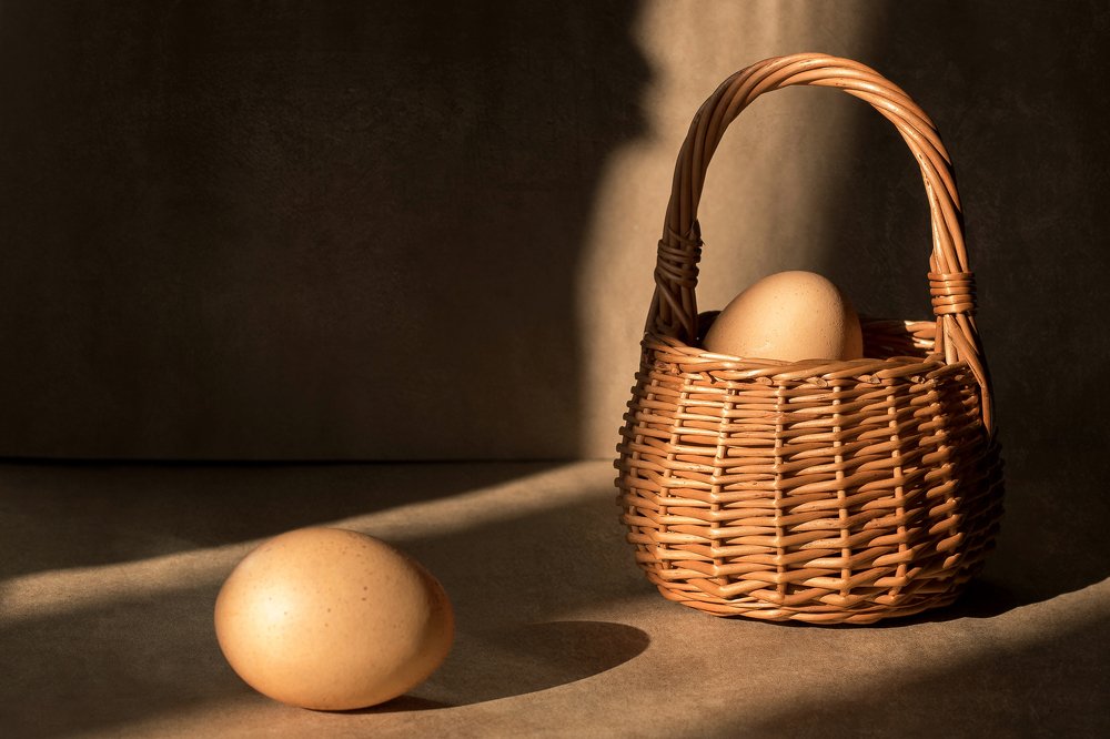 Фотография автора Елена Ельшина