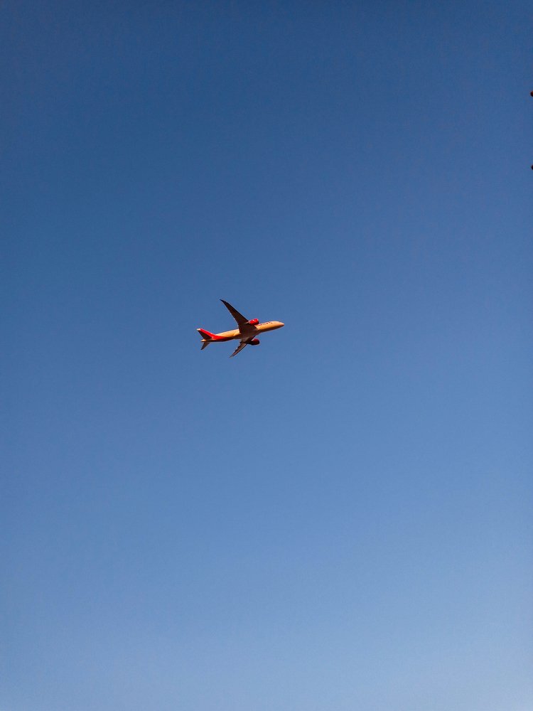 Photo #4552451