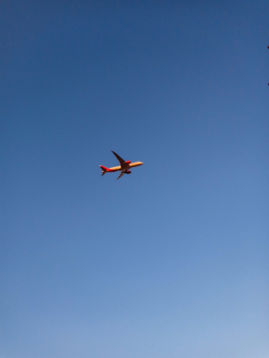 Photo #4552451
