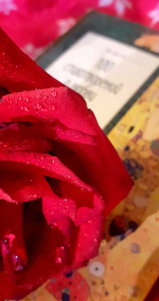 Photograph by Любовь Макарова