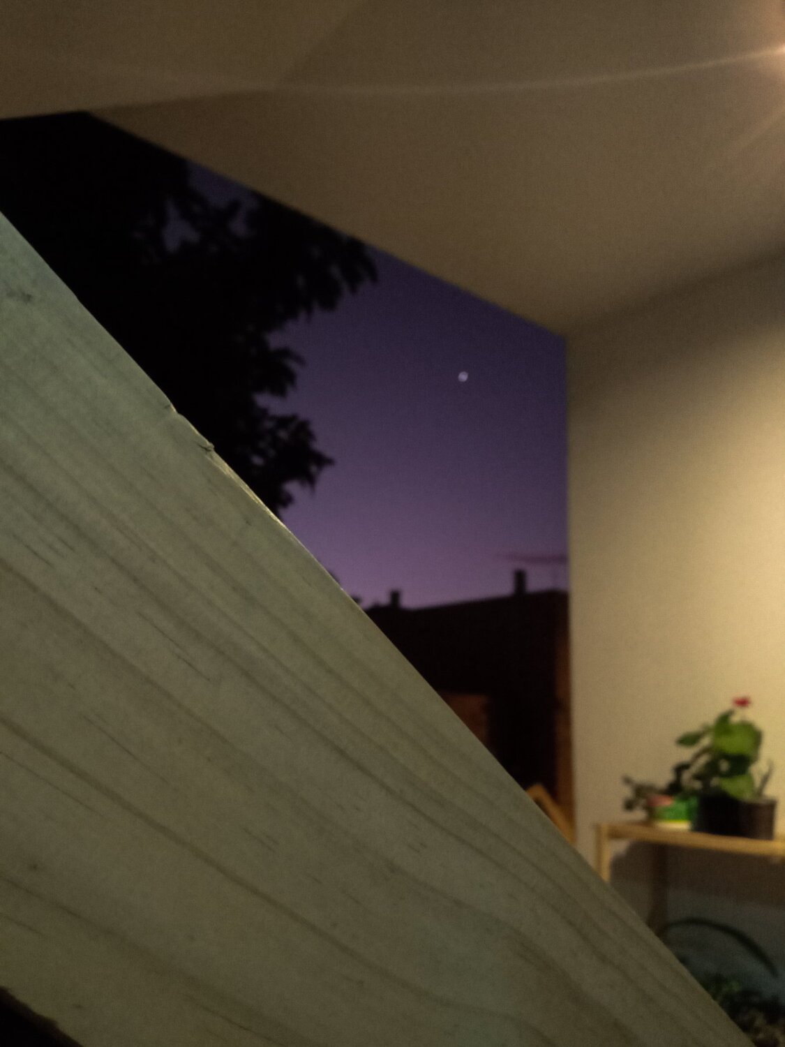 Photo #4552463