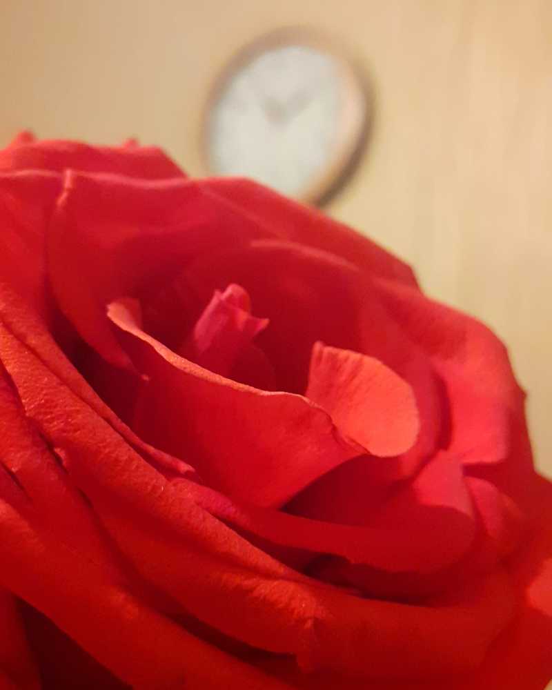 Photograph by Любовь Макарова