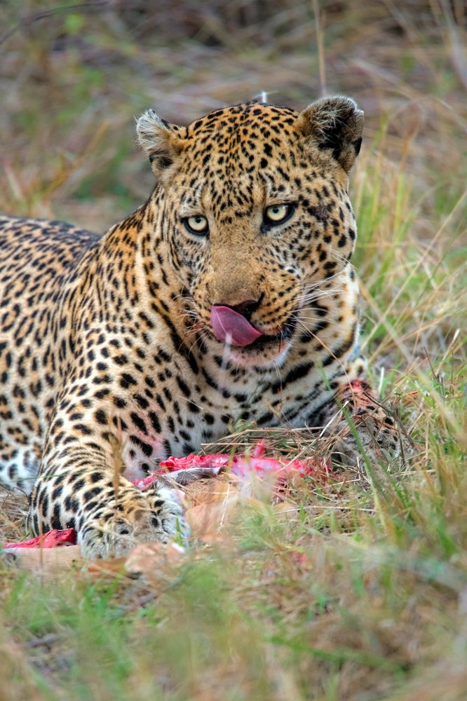 Photograph by Renny Poulose