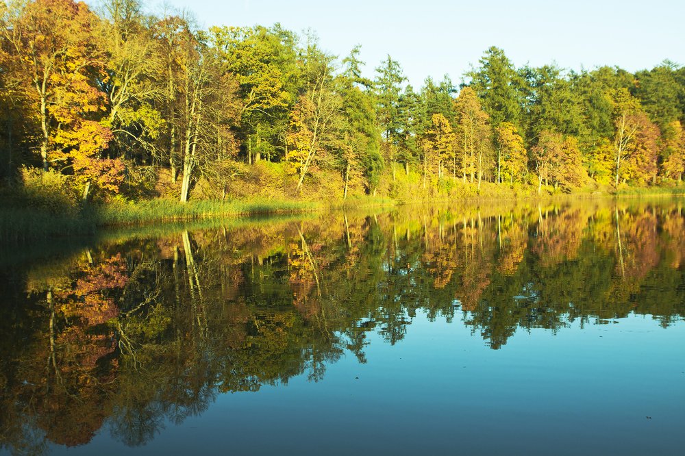 Photograph by ILONA KILA