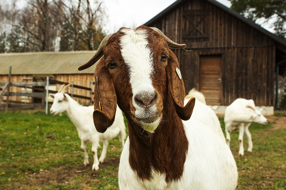 Photograph by ILONA KILA