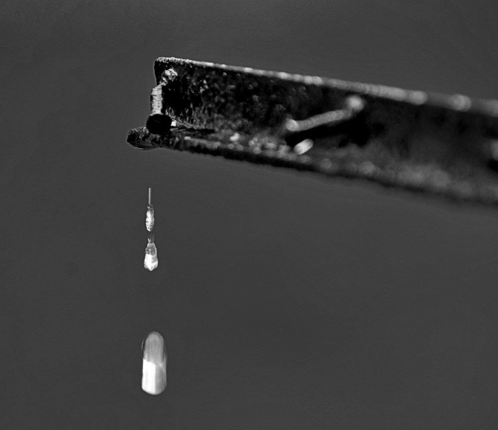 Photograph by Debbie Strauss