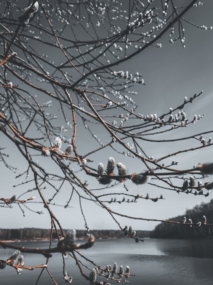 Photograph by Елена Зубкова