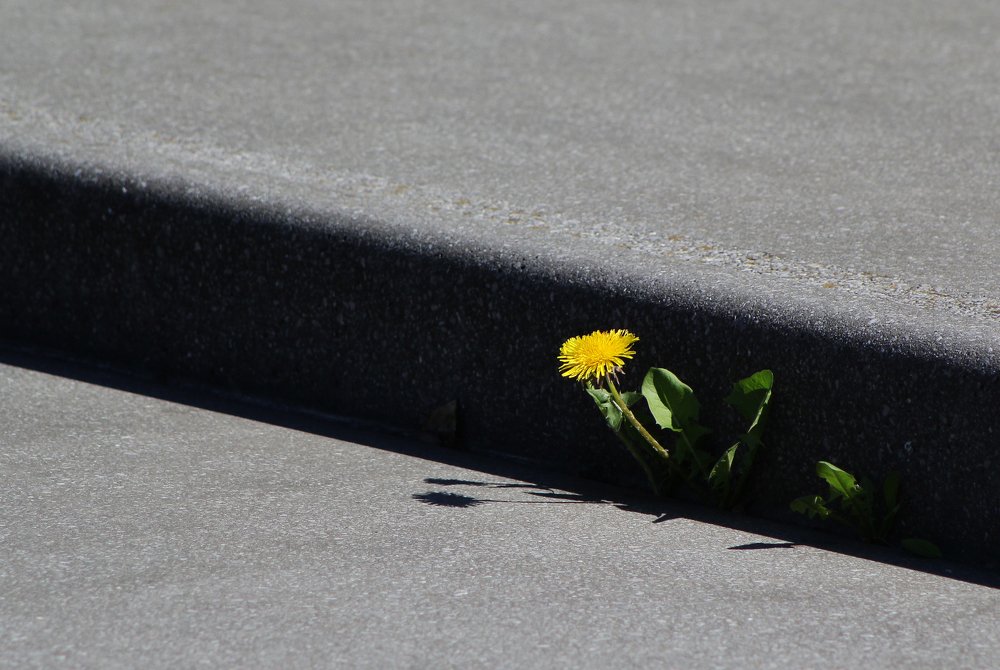 Photograph by Gabriella Szabo