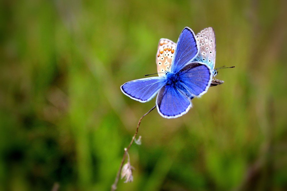 Photograph by Олеся