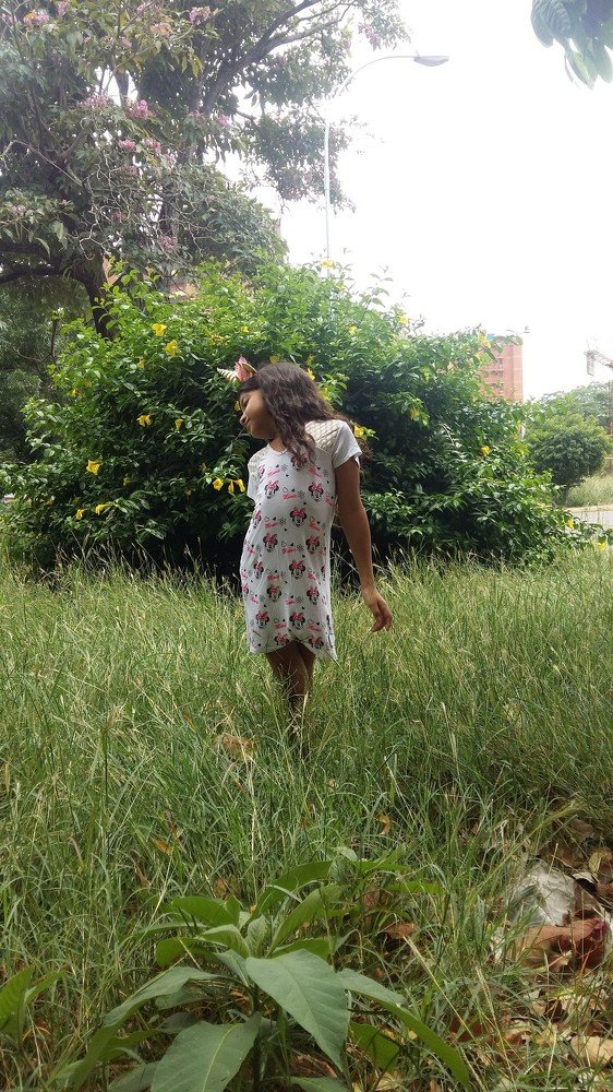Photo #4553012