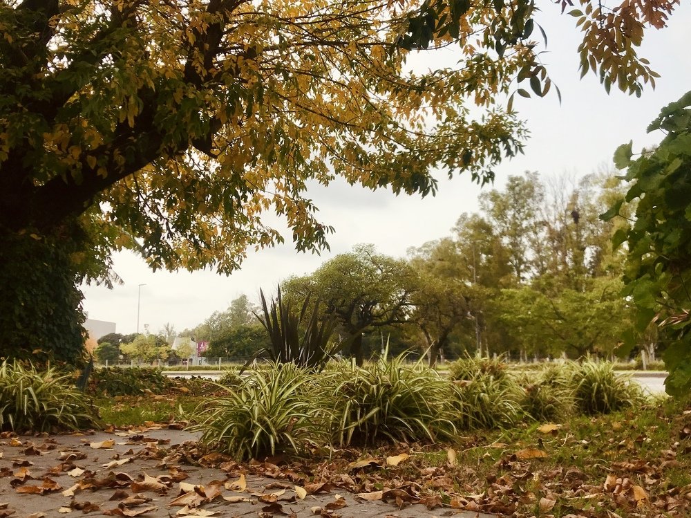 Photograph by Alejandro Corsico