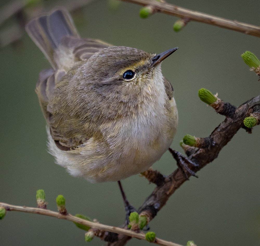 Photograph by Курлянцев Алексей