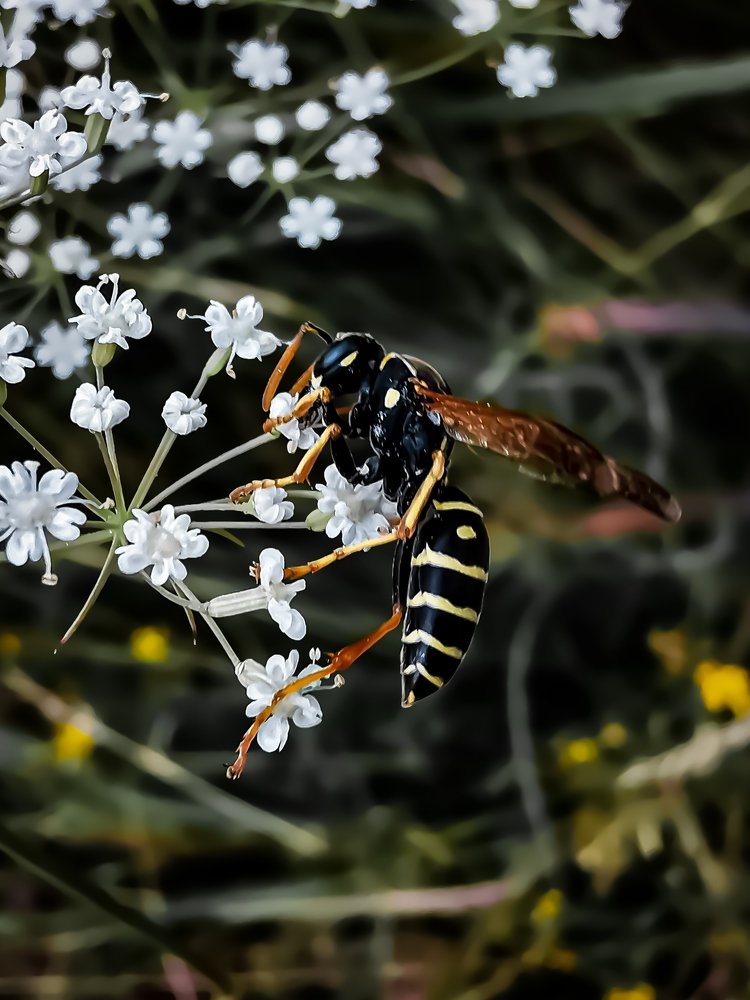 Photograph by Сергей Таранов