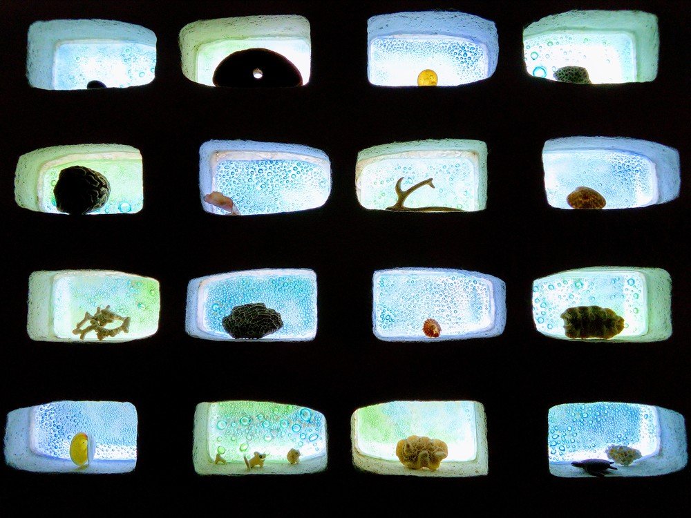 detalles a contraluz