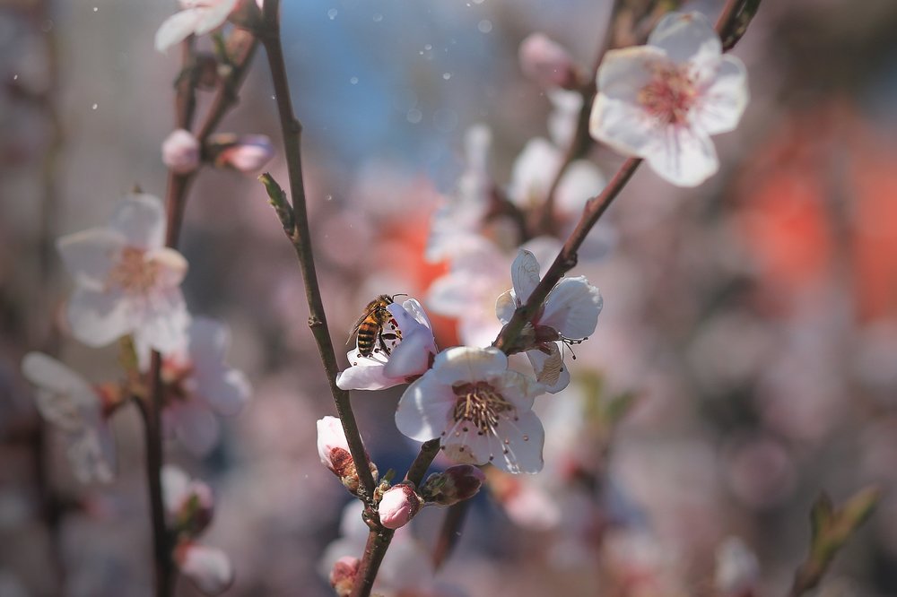 Photograph by Евгения Дахлова