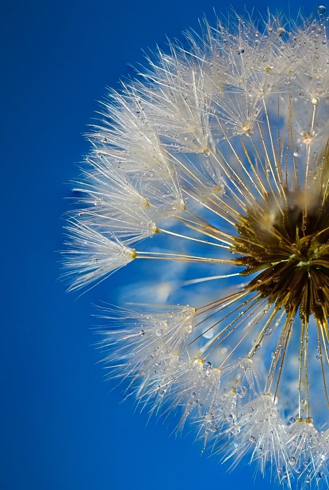 Photograph by anirudha