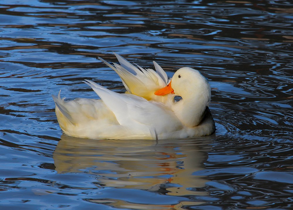 Photograph by Amalia Segovia