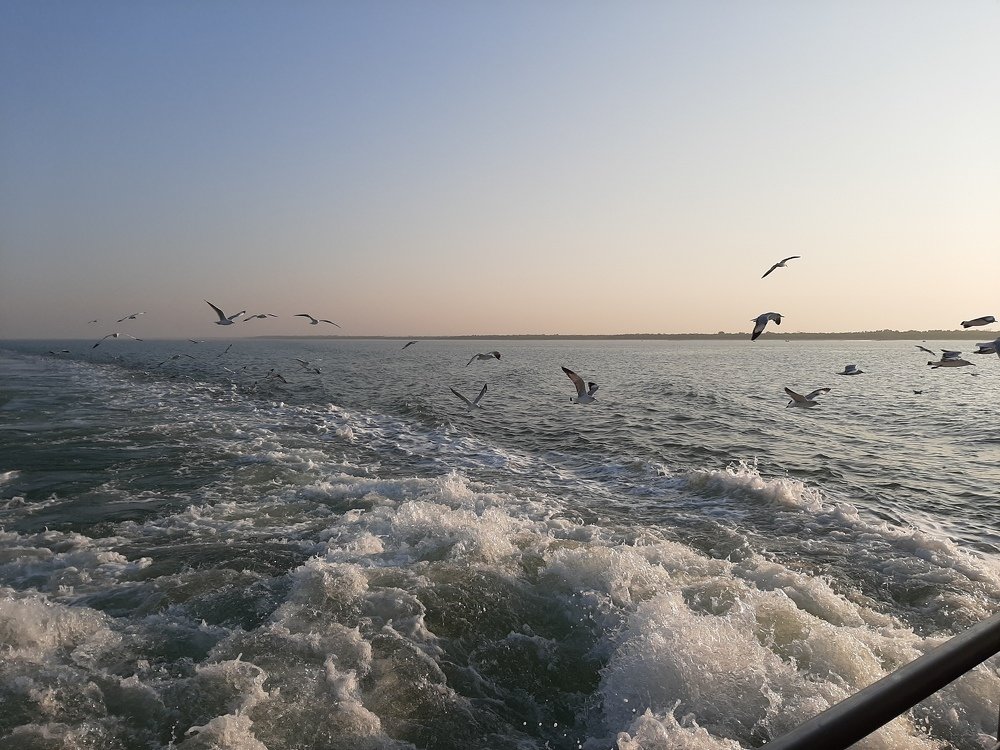 Фотография автора Bhuiyan Shawon