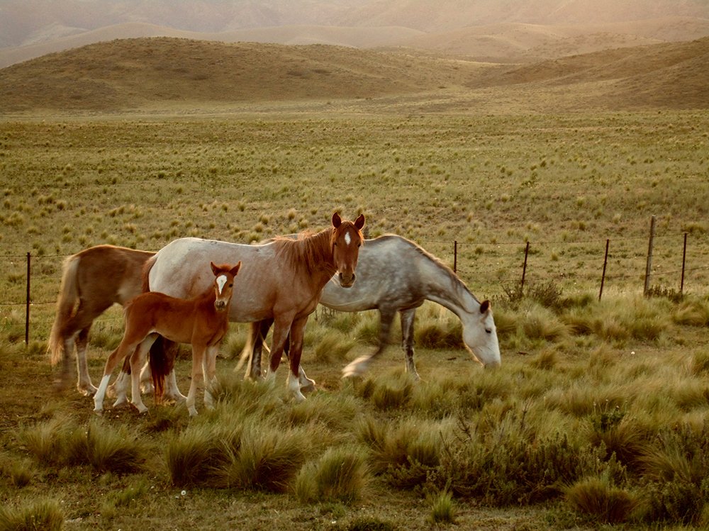 Photograph by Amalia Segovia