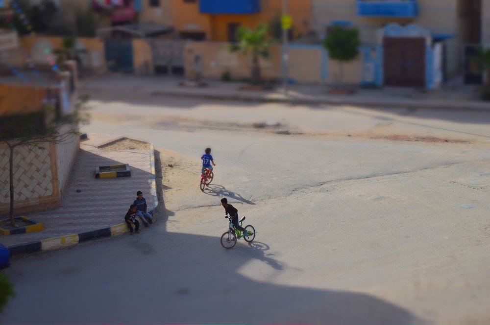 Photograph by Ahmed Soror