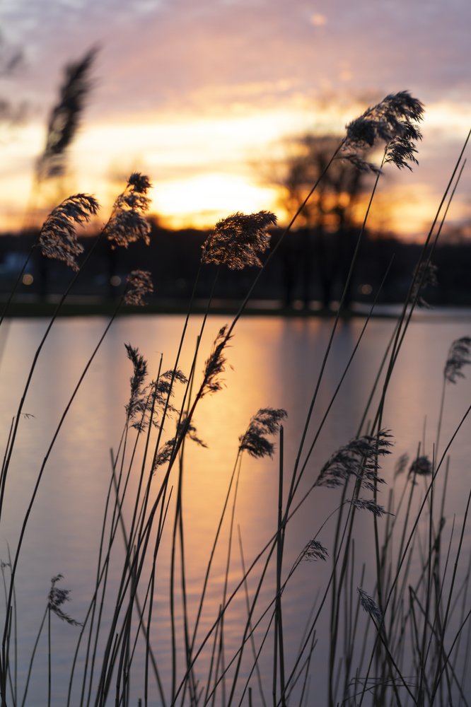 Photograph by Сергей Королев