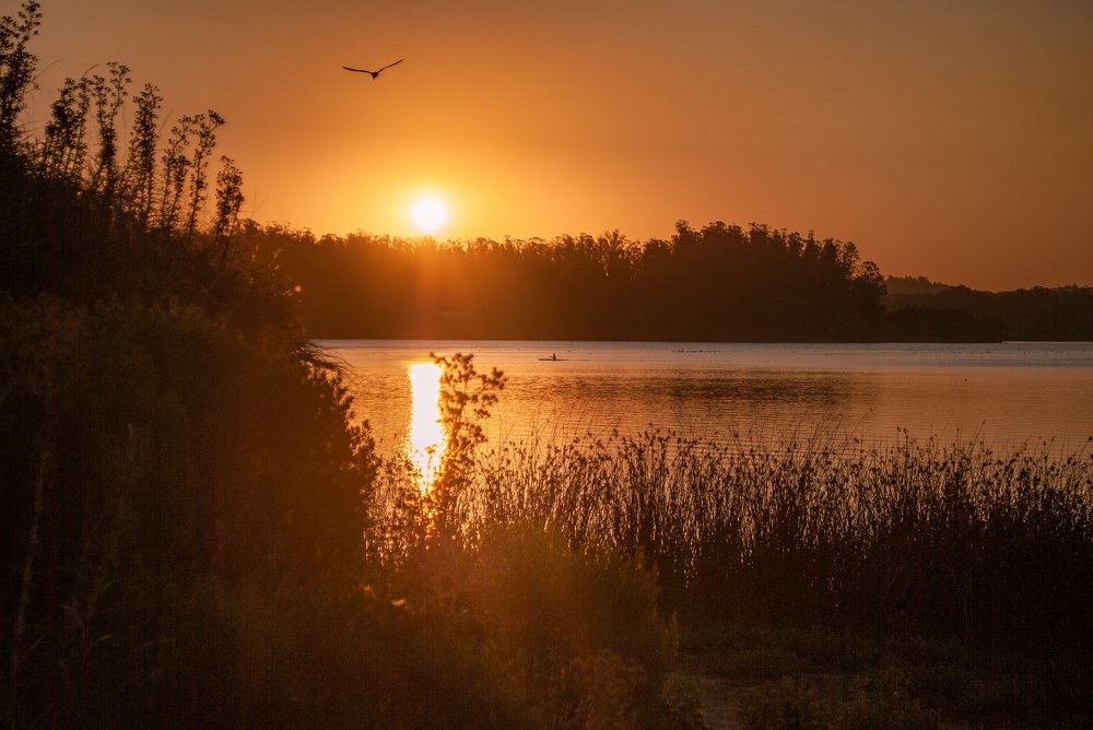 Sobrevolando la laguna