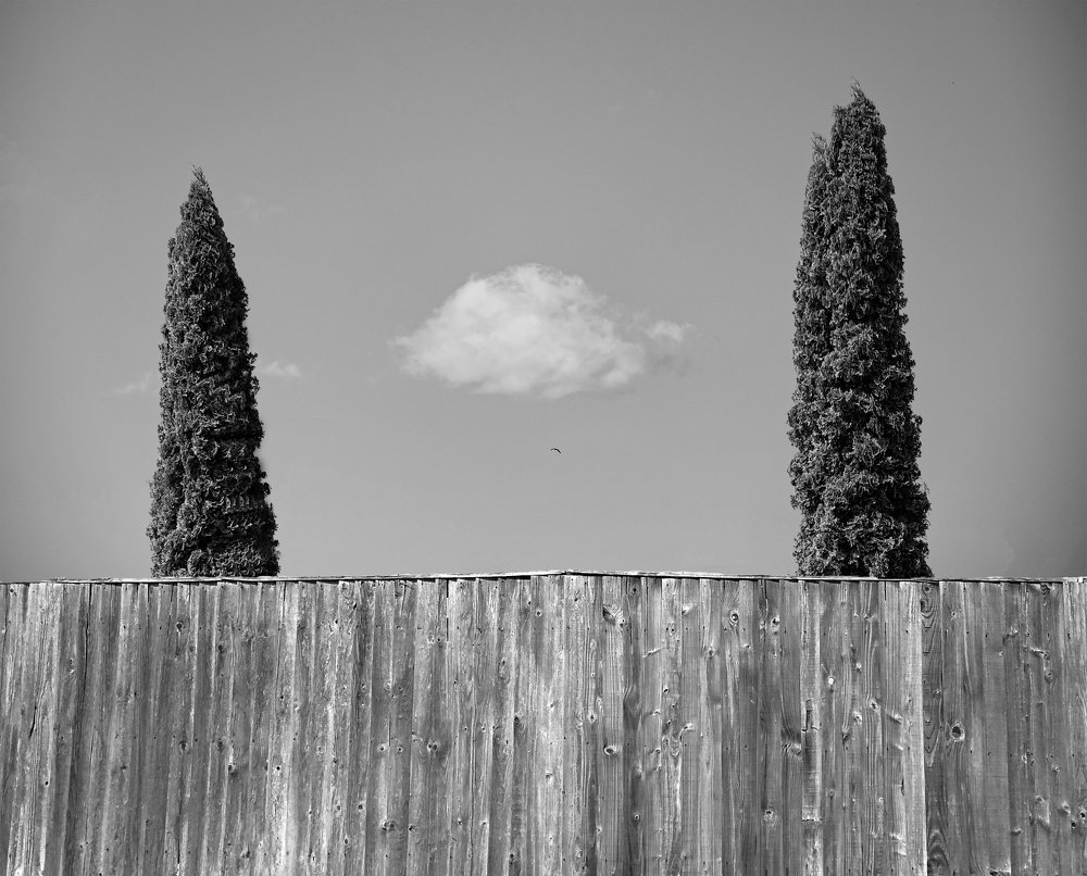 Photograph by Behzad