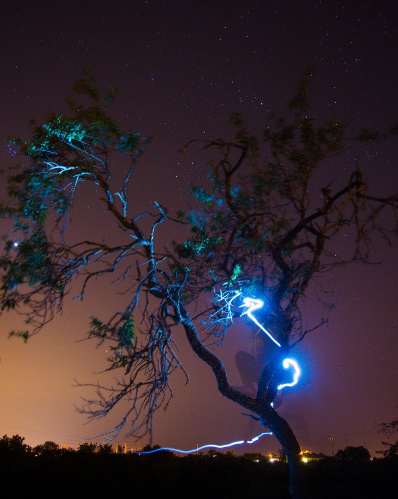 Photograph by Bruno Santos