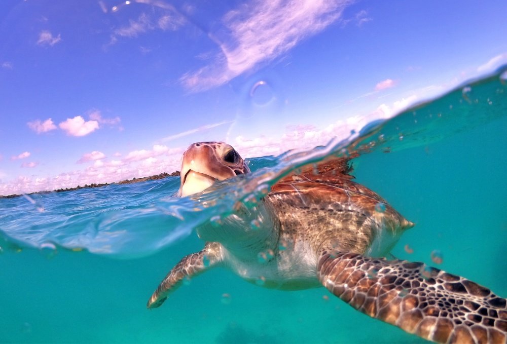 Photograph by Gala Franco