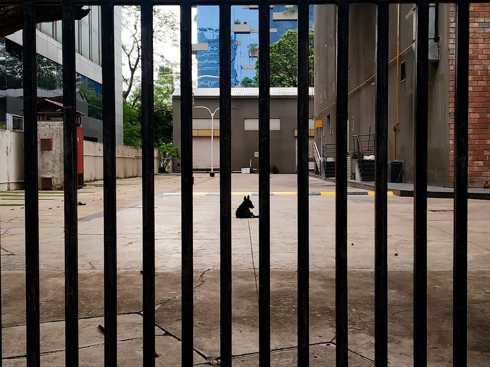 Photograph by Surajit Dutta