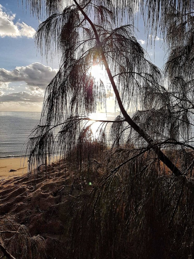 Солнце взошло