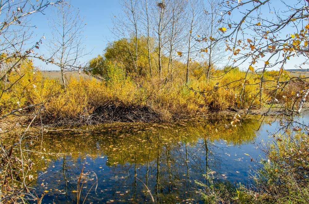 Photograph by Валерий Федяров