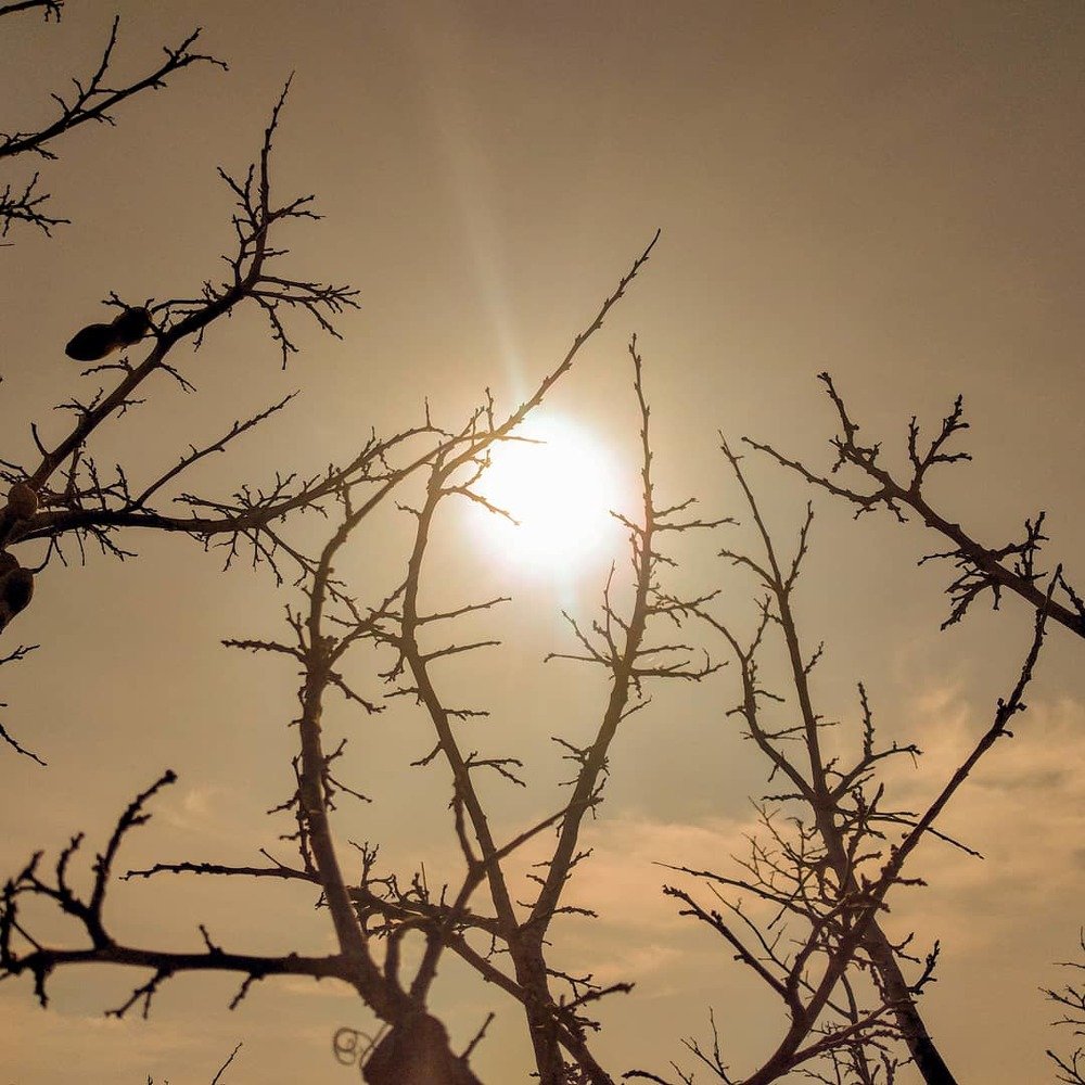 Sun