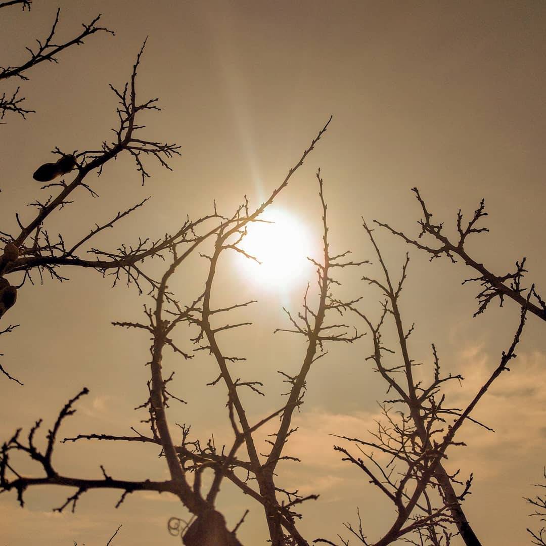 Sun