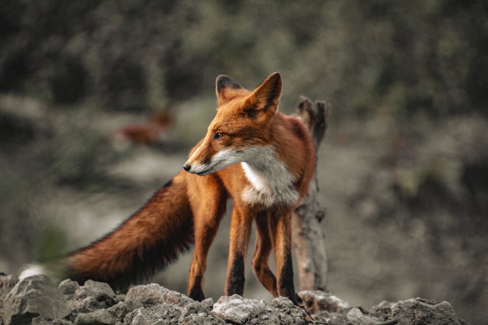 Photograph by Александр Васильев